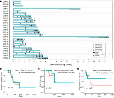 The Role of Clonal Evolution on Progression, Blood Parameters, and Response to Therapy in Multiple Myeloma